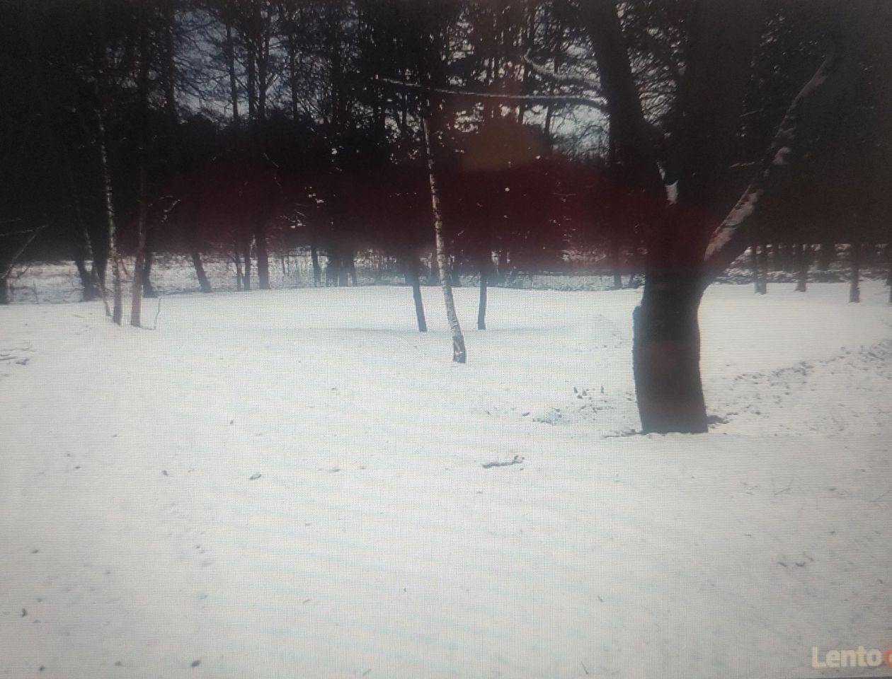 Działka rolno-budowlana Zawiercie Borowe Pole, ul. Oświatowa. Zdjęcie 2