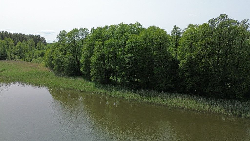 Działka rekreacyjna Kałtki. Zdjęcie 8