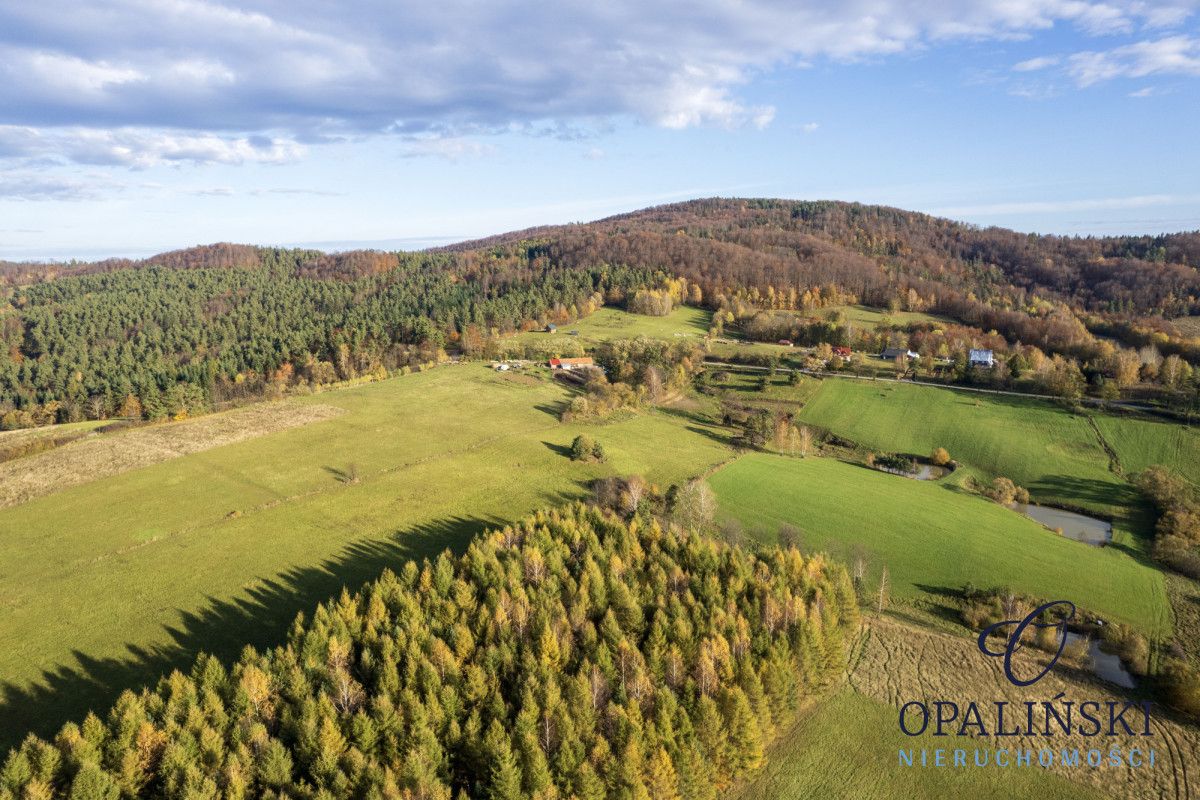 Działka inwestycyjna Kiełczawa. Zdjęcie 15