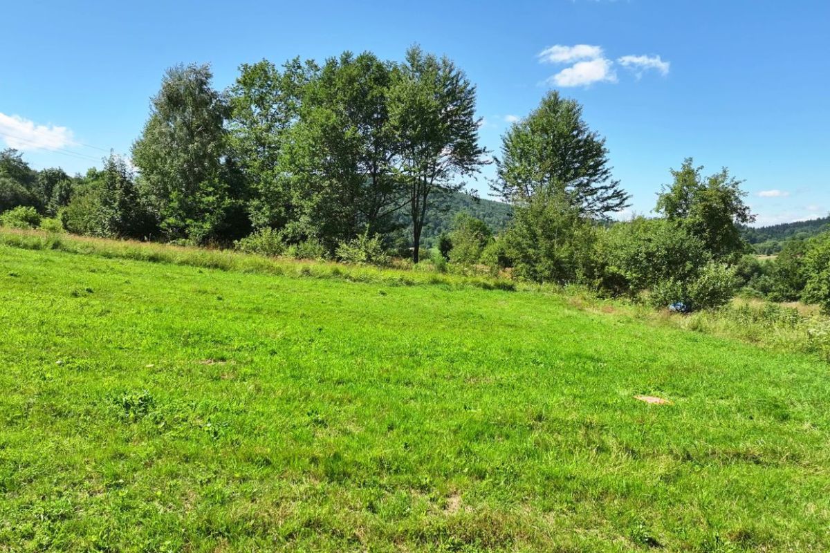 Działka rolna Wańkowa. Zdjęcie 8