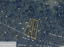 Działka leśna Makówiec Duży. Zdjęcie 4