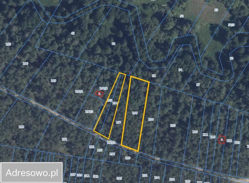 Działka leśna Makówiec Duży. Zdjęcie 5