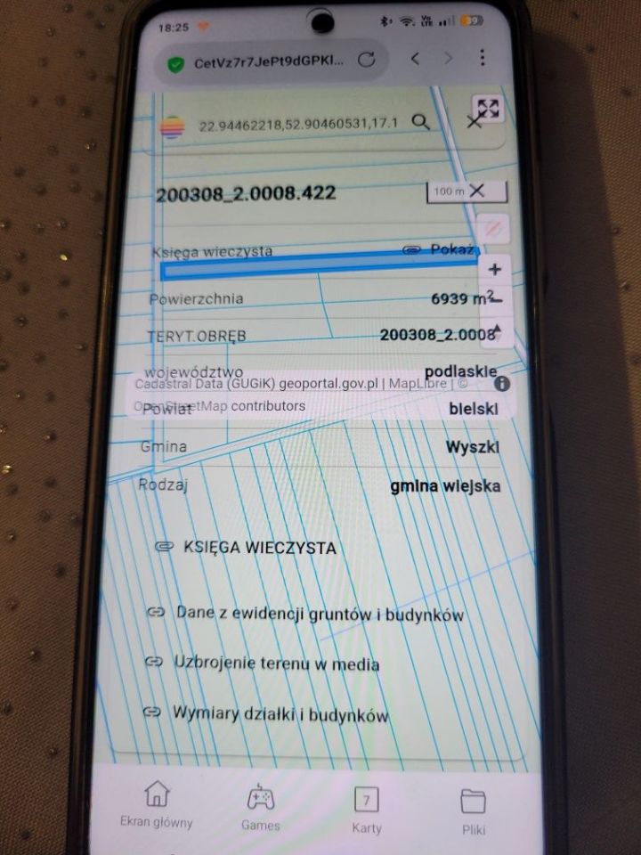 Działka rolna Godzieby. Zdjęcie 2