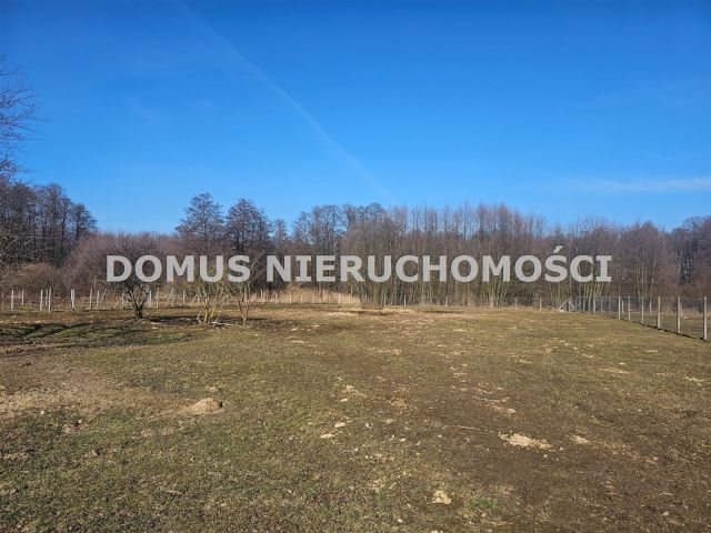 Działka siedliskowa Lubiska. Zdjęcie 4