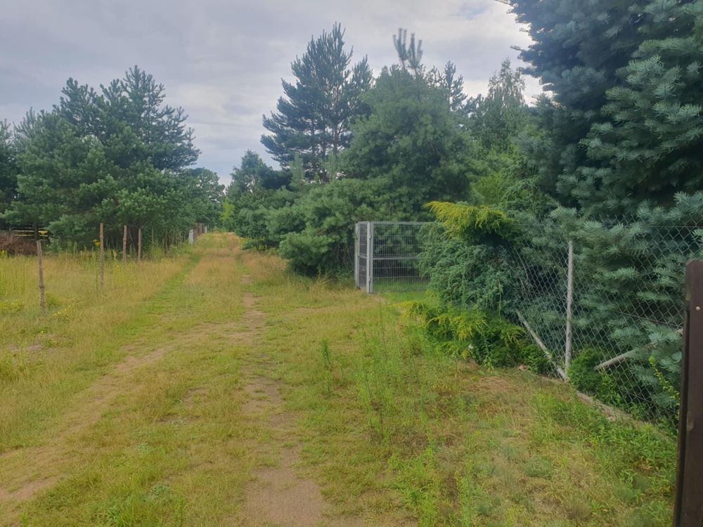 dom letniskowy Orłowo. Zdjęcie 4