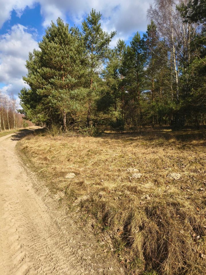 Działka rolna Derkacze. Zdjęcie 4