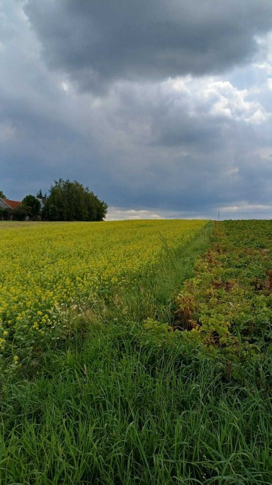 Działka budowlana Juraszowa. Zdjęcie 3
