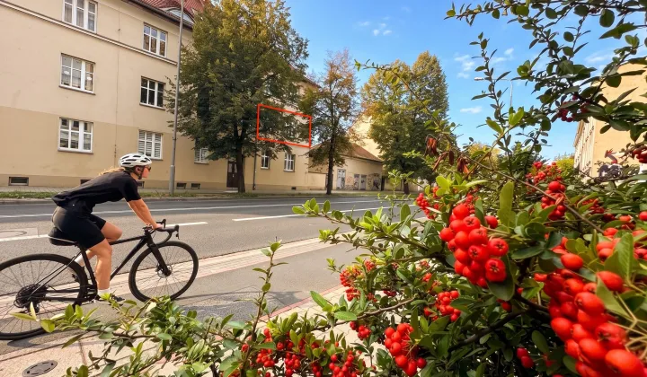 Mieszkanie 2-pokojowe Poznań Grunwald, ul. Bukowska