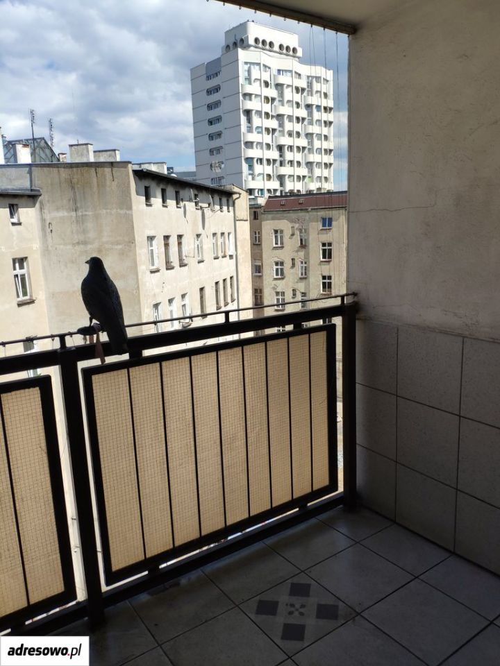 Mieszkanie 5-pokojowe Wrocław Śródmieście, ul. Władysława Nehringa. Zdjęcie 9