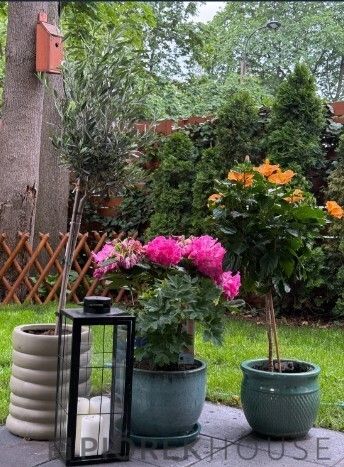Mieszkanie 3-pokojowe Warszawa Wawer, ul. Widoczna. Zdjęcie 14