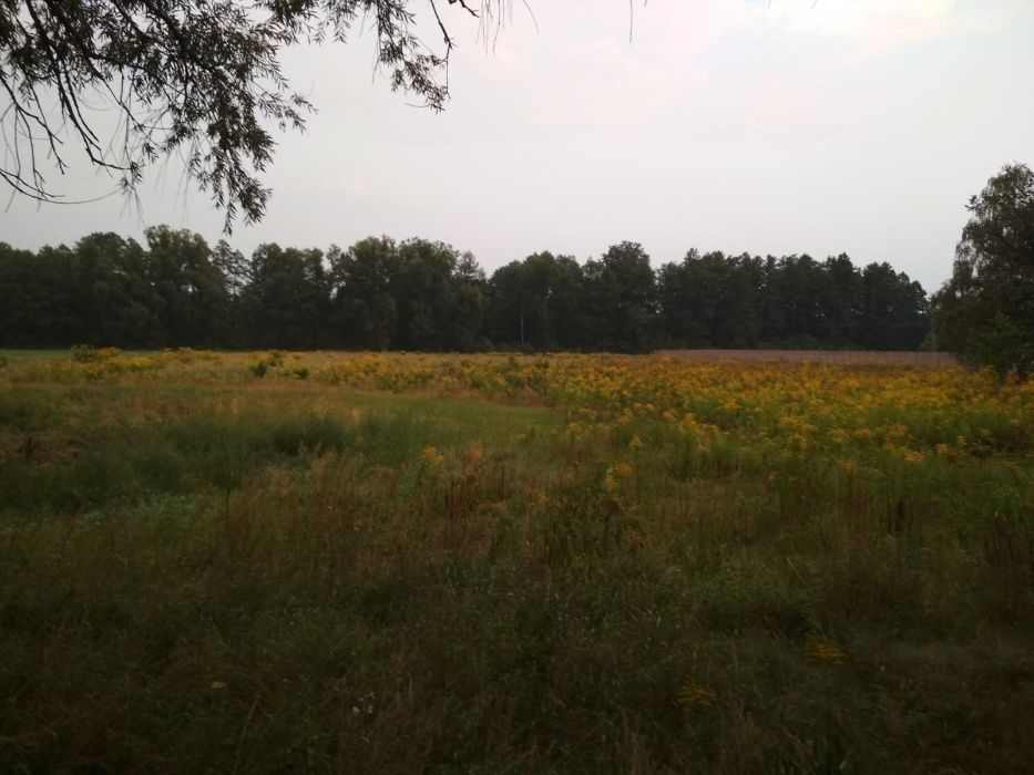 Działka budowlana Paproć. Zdjęcie 4