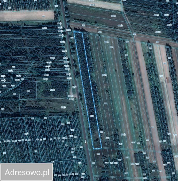 Działka rolna Sokołówka. Zdjęcie 6