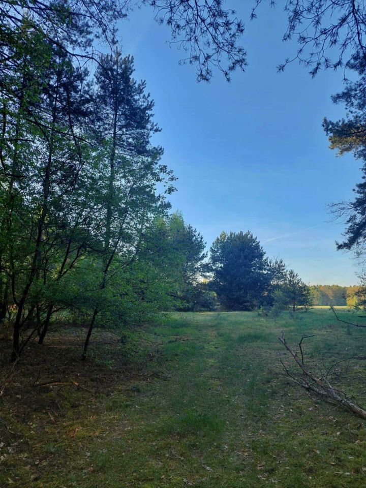 Działka rekreacyjna Kolonia Ldzań. Zdjęcie 2