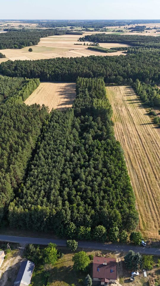 Działka leśna Sławczyn. Zdjęcie 3