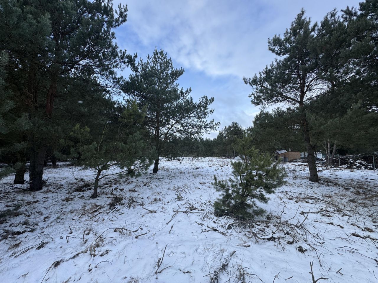 Działka budowlana Szkocja, ul. Różana. Zdjęcie 6