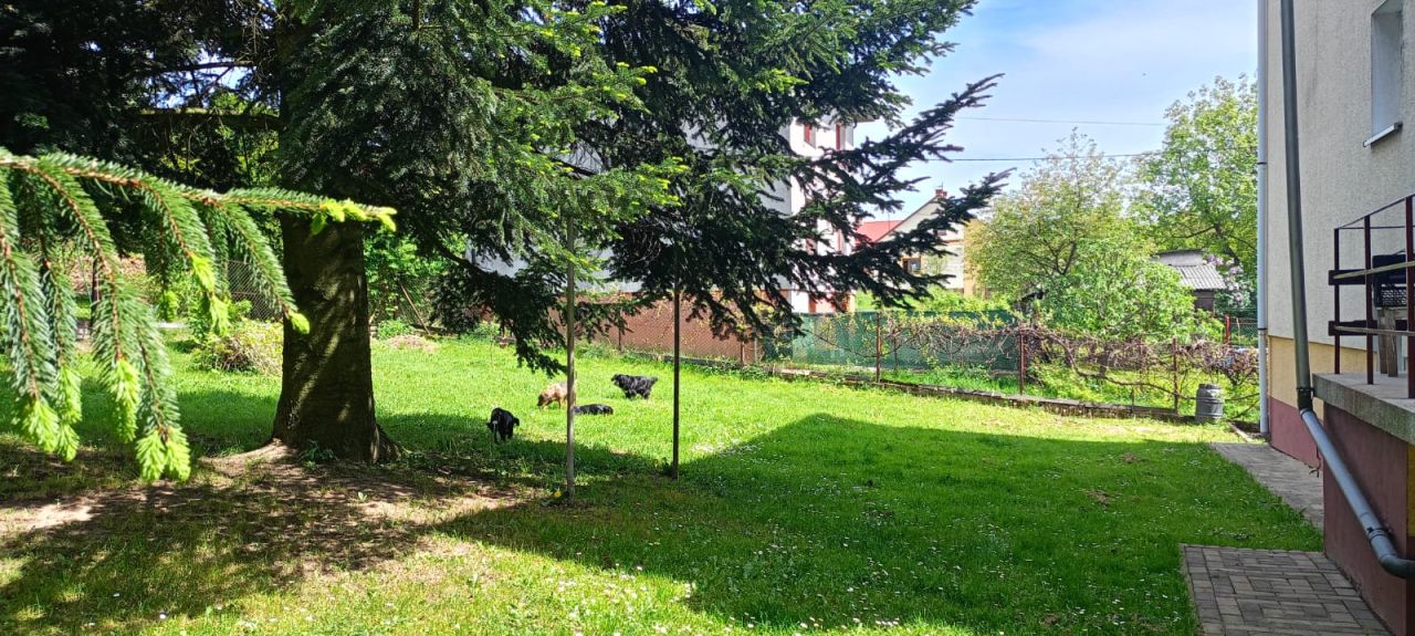 dom wolnostojący, 6 pokoi Krosno Białobrzegi, ul. Stanisława Moniuszki. Zdjęcie 4