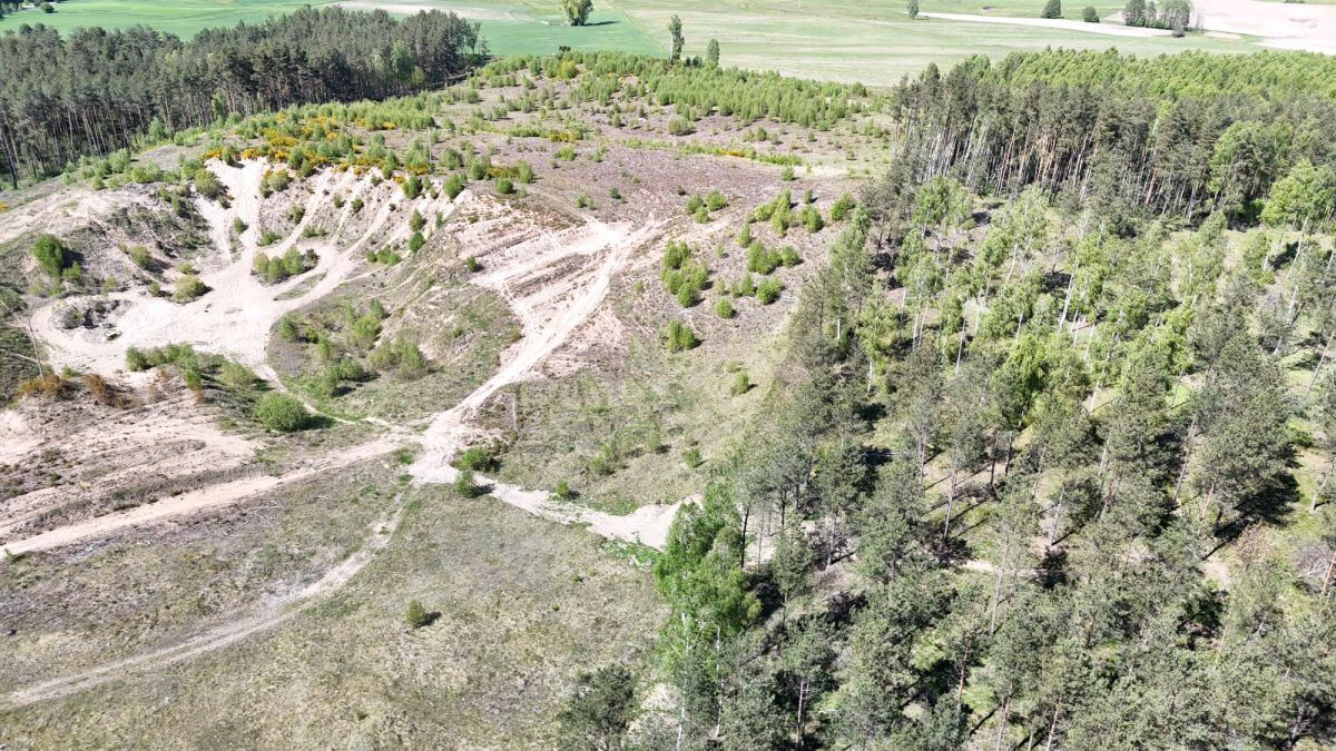 Działka budowlana Chwarzno Kozia. Zdjęcie 9