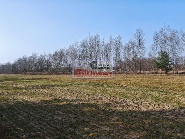 Działka budowlana Grabina. Zdjęcie 6
