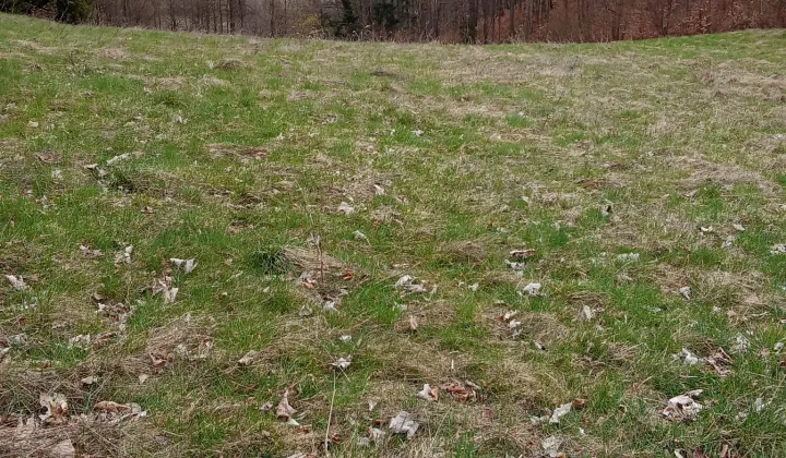 Działka rolna Nowy Waliszów, Nowy Waliszów