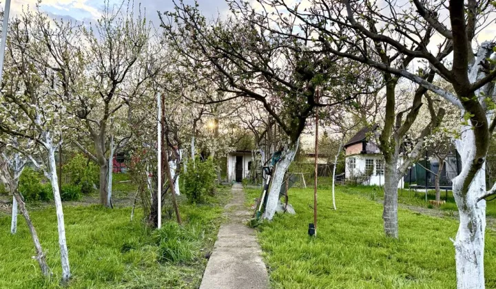 Działka rod Toruń, ul. Stanisława Przybyszewskiego