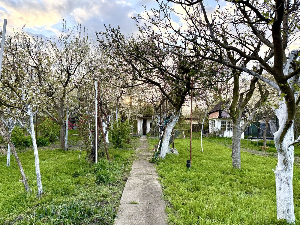 Działka rod Toruń, ul. Stanisława Przybyszewskiego. Zdjęcie 1