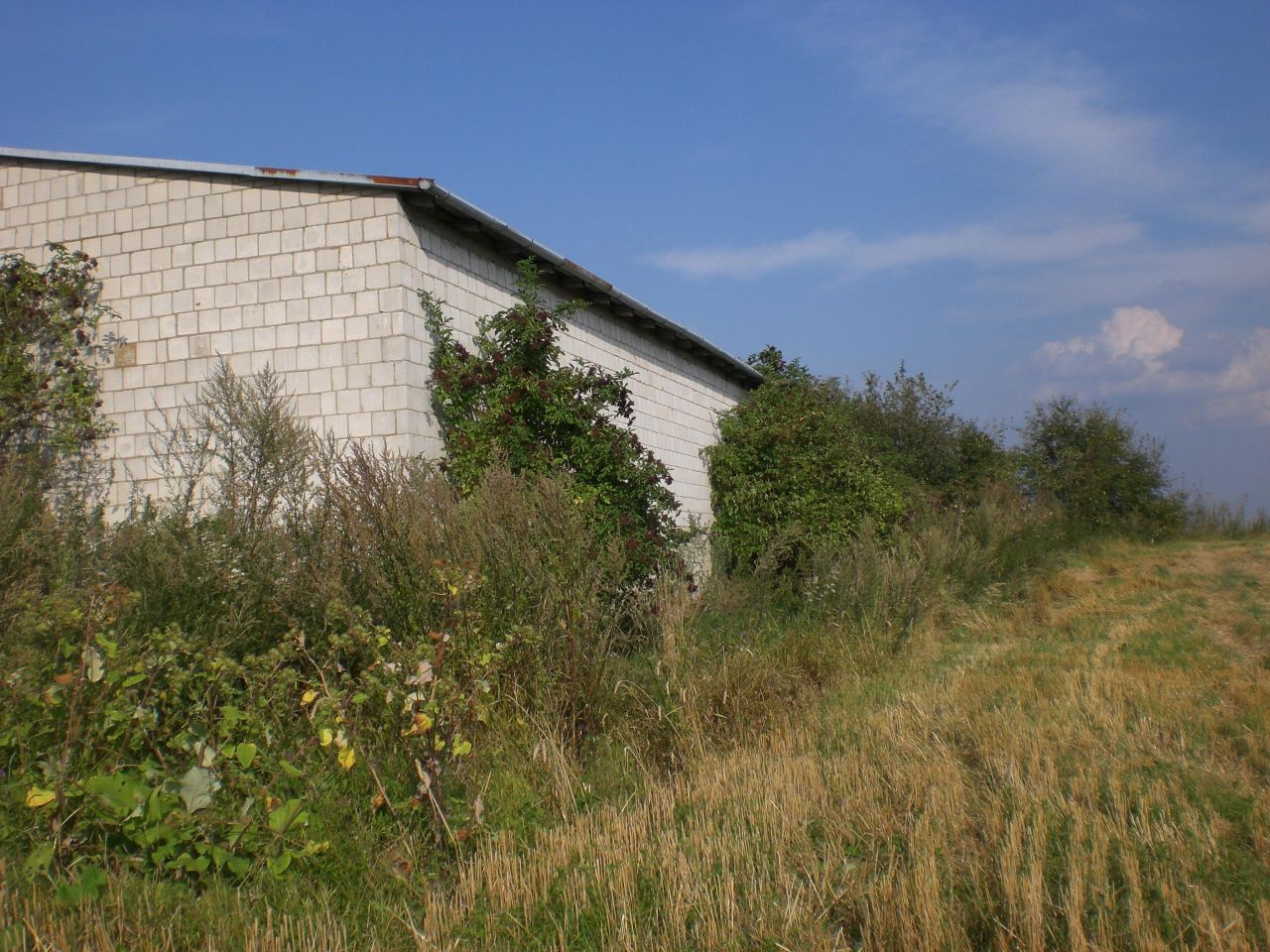 dom wolnostojący, 3 pokoje Czartowczyk Kolonia Czartowczyk. Zdjęcie 7