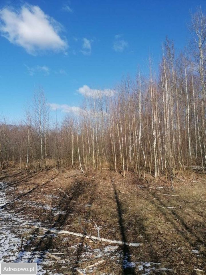 Działka budowlana Huta Mazowszańska, ul. Miedziana. Zdjęcie 5