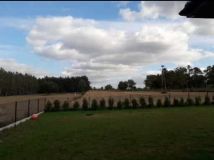 Działka budowlana Grzybów. Zdjęcie 1