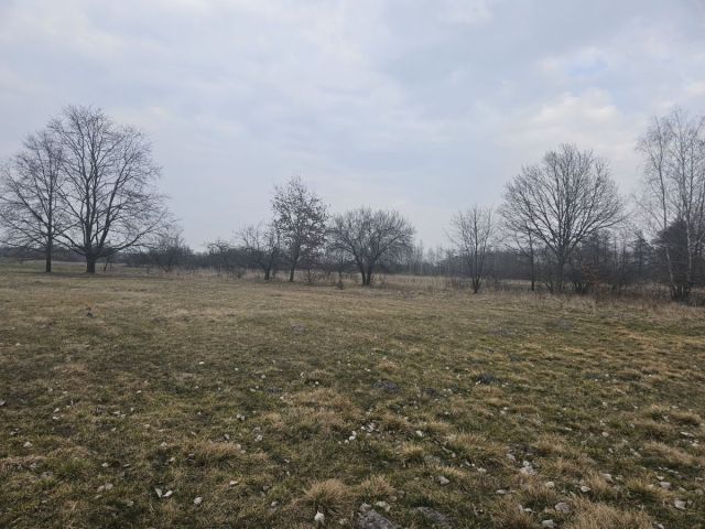 Działka rolno-budowlana Sanie. Zdjęcie 4