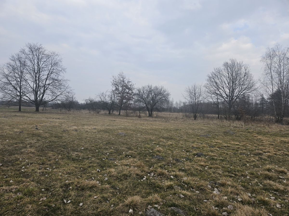 Działka rolno-budowlana Sanie. Zdjęcie 4