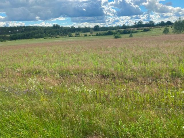 Działka rolna Starzno. Zdjęcie 1