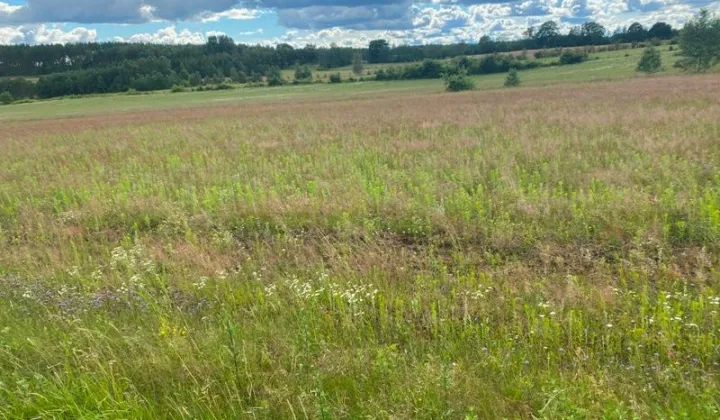 Działka rolna Starzno