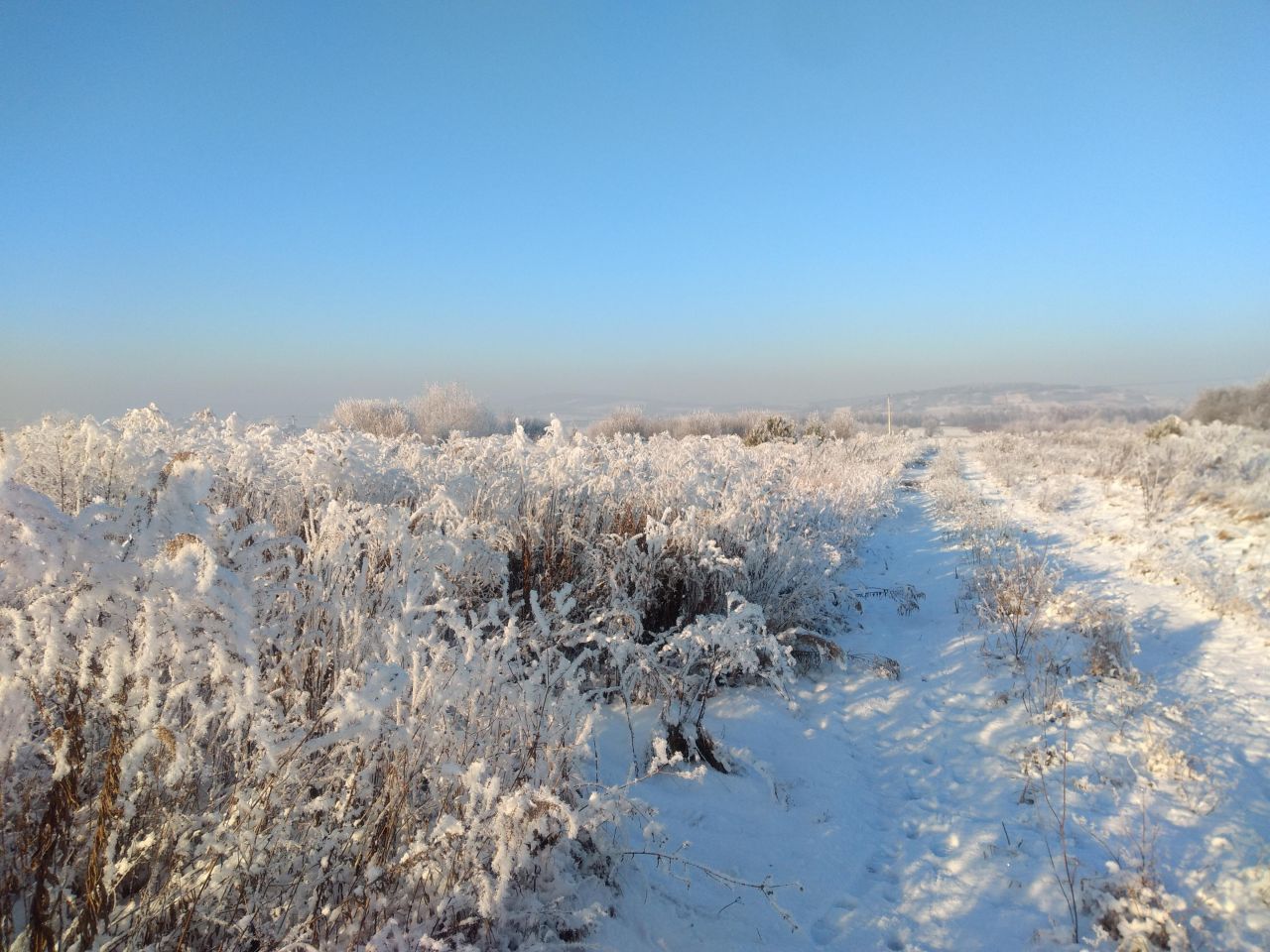 Działka budowlana Górno. Zdjęcie 3