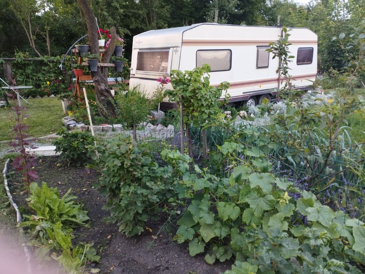 Mieszkanie 2-pokojowe Głuszyca, ul. Kolejowa. Zdjęcie 14