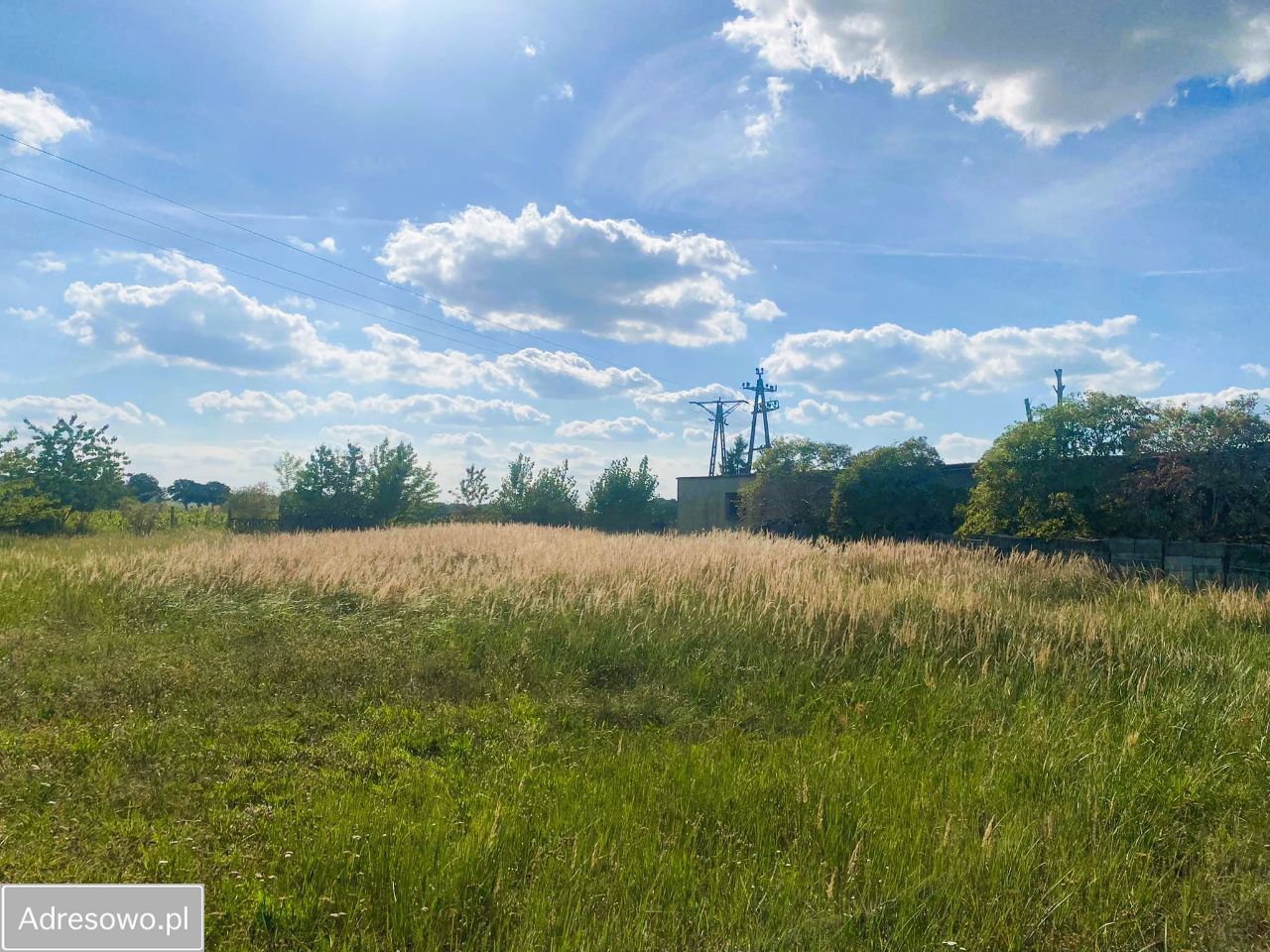 Hala/magazyn Cieszków. Zdjęcie 8