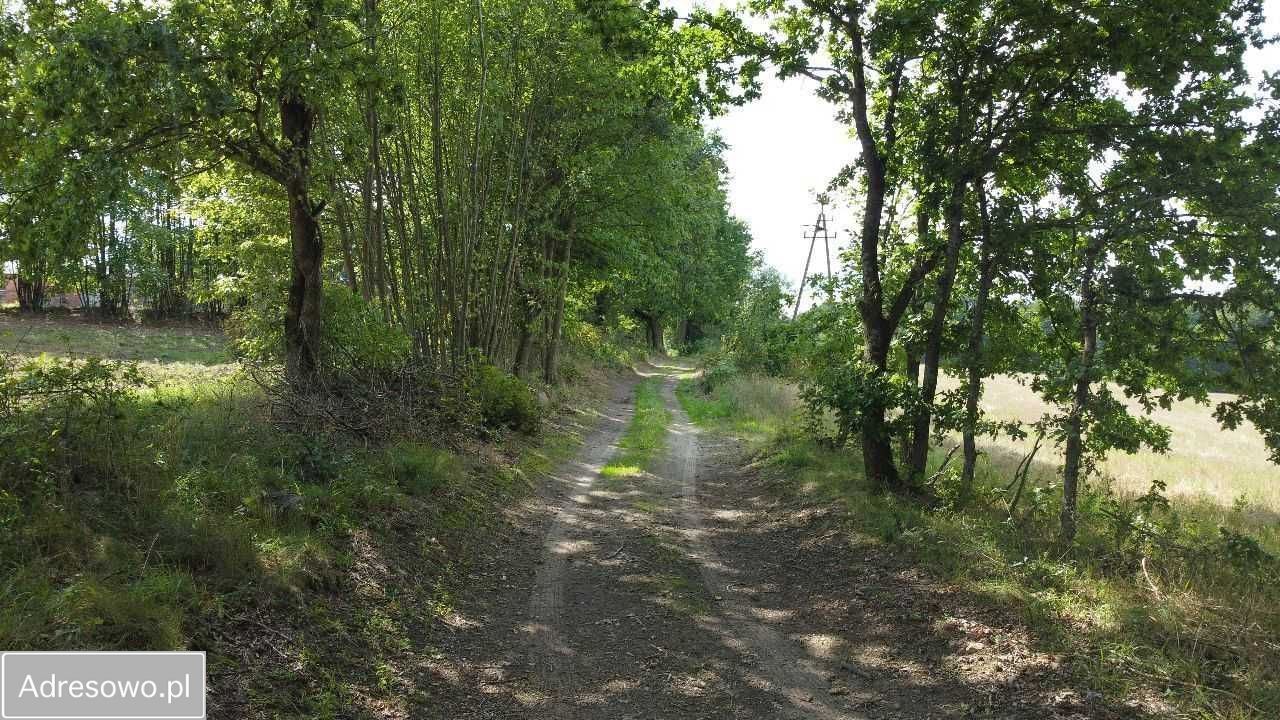 Działka rolna Śmilcz. Zdjęcie 3