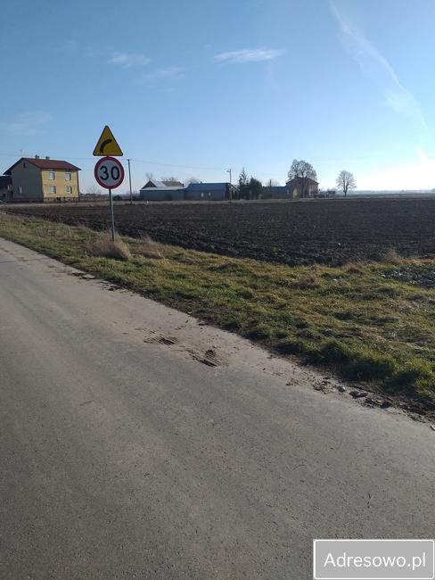 Działka rolno-budowlana Raczyn. Zdjęcie 3