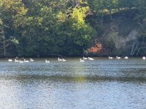 Działka rolna Gościeradz, ul. Kameralna. Zdjęcie 2