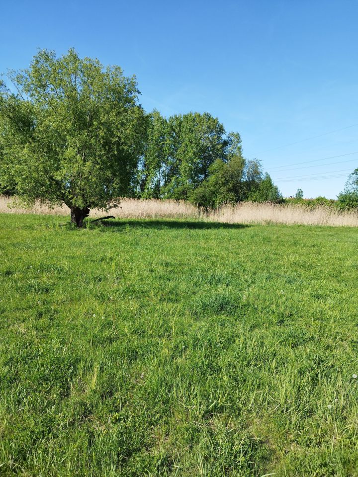 Działka budowlana Warszawa Wilanów, ul. Ruczaj. Zdjęcie 10