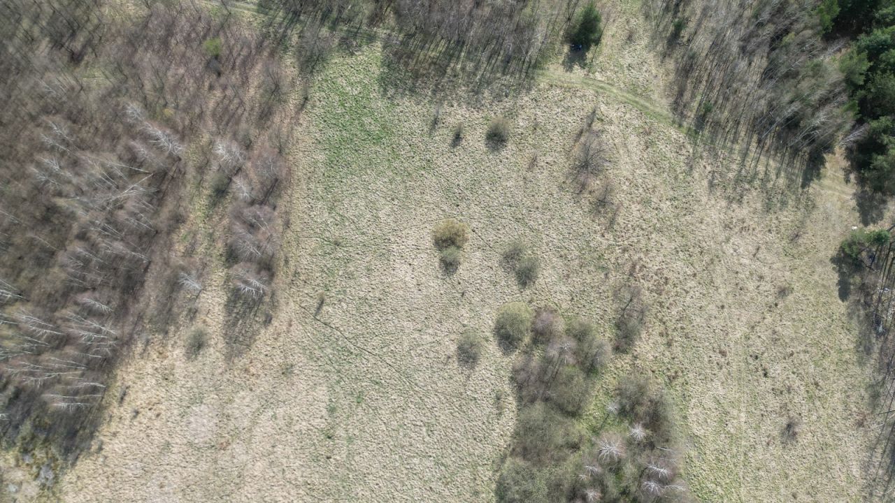 Działka rolna Huta Dłutowska Kapkazy, ul. Polna. Zdjęcie 3