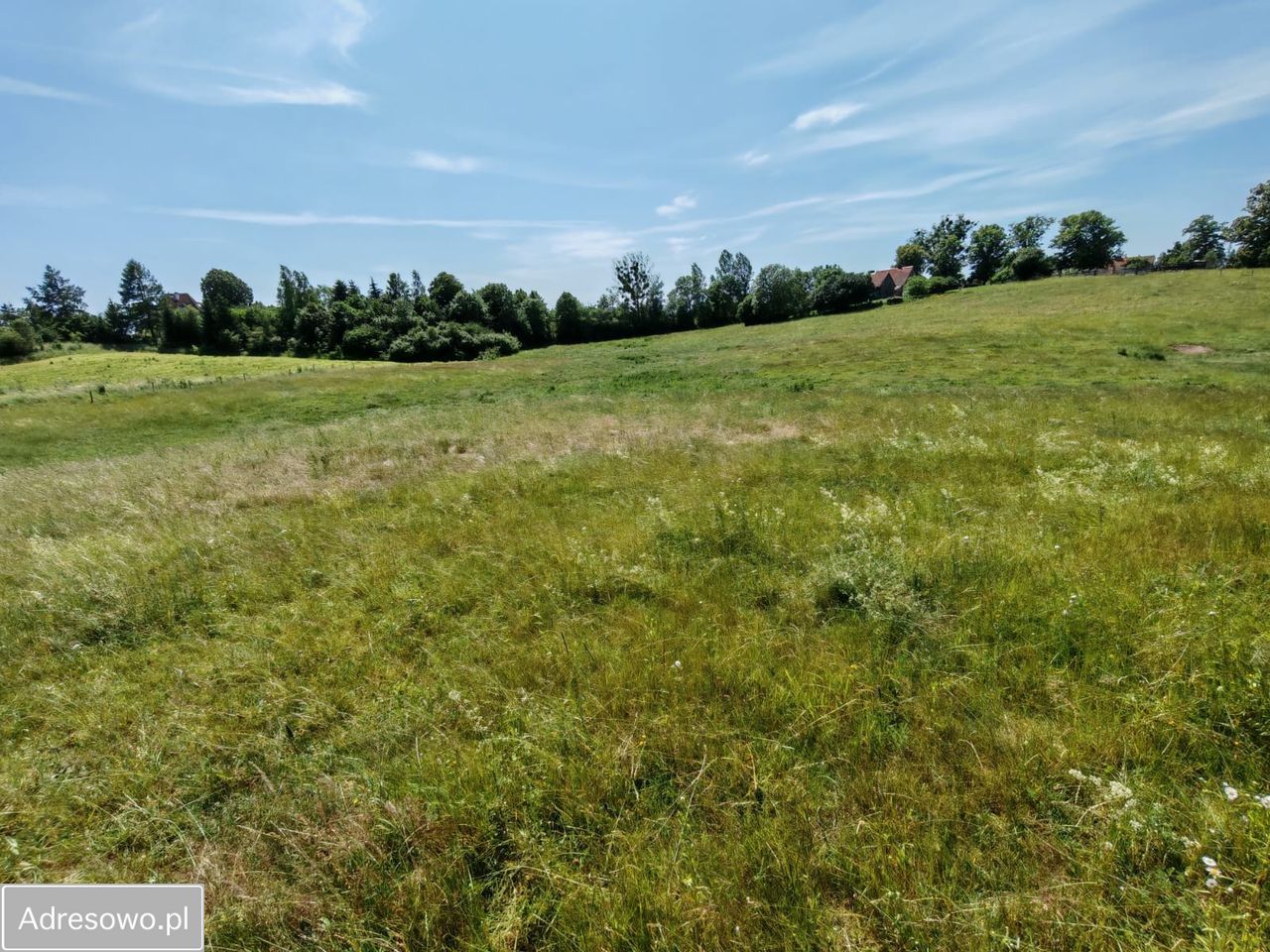 Działka rolna Dąbrówka. Zdjęcie 15