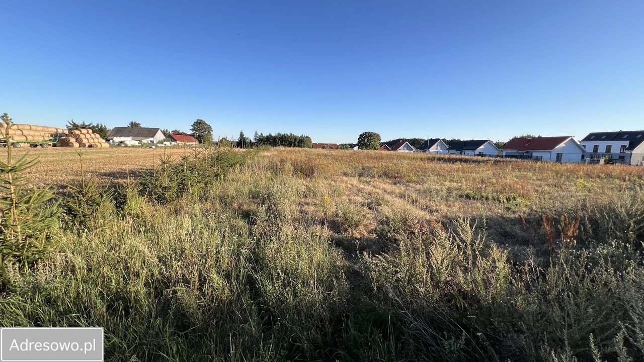 Działka rolno-budowlana Cekcyn Cekcynek. Zdjęcie 5