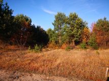 Działka budowlana Białe. Zdjęcie 2