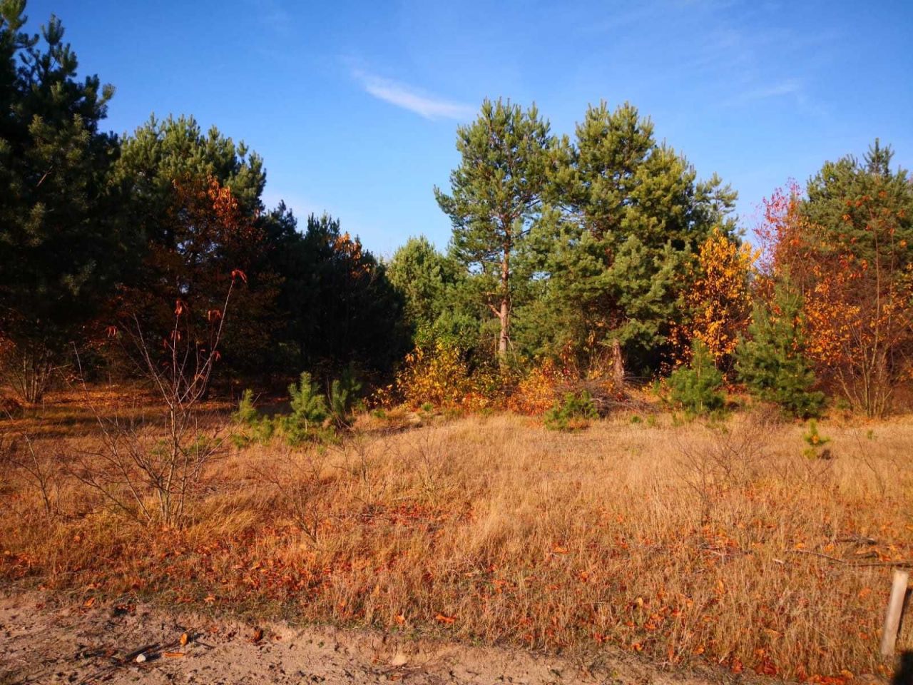 Działka budowlana Białe. Zdjęcie 3