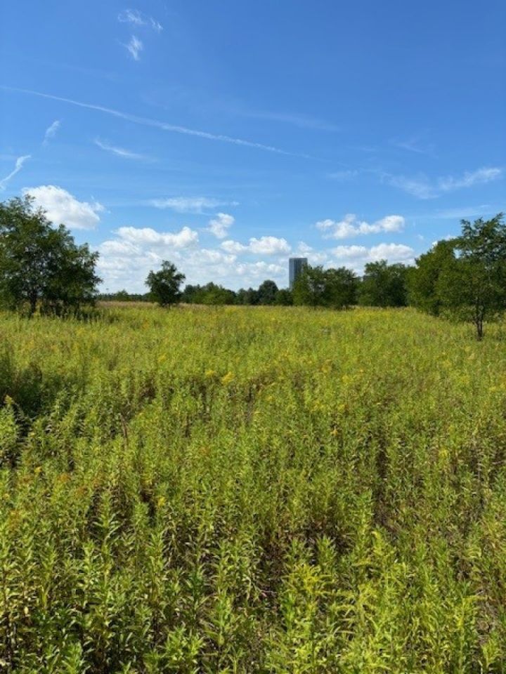 Działka inna Ruda Śląska. Zdjęcie 4