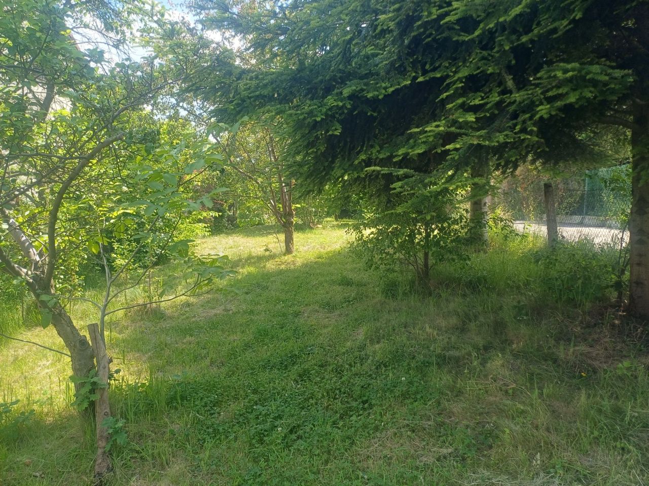 Działka Sienna. Zdjęcie 7