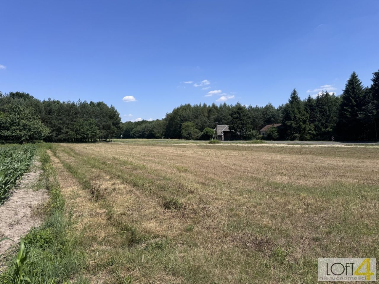 Działka budowlana Kupienin. Zdjęcie 13