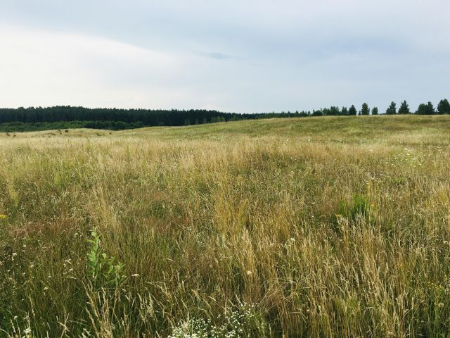 Działka rolno-budowlana Mycielin. Zdjęcie 1