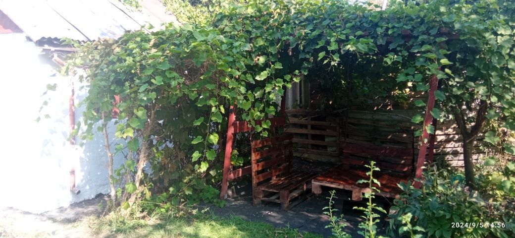 Działka rod Wrocław Krzyki, ul. Wilcza. Zdjęcie 4