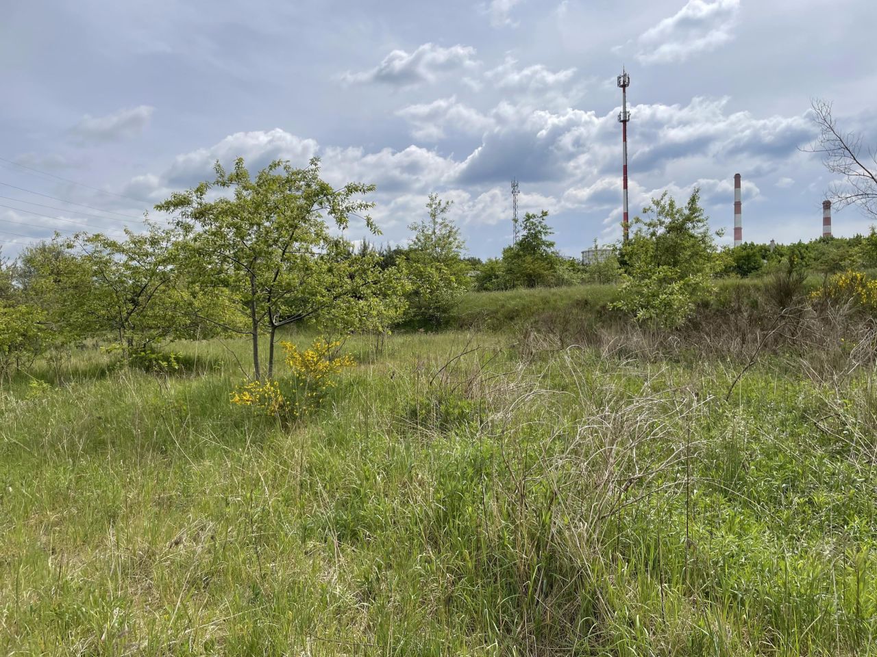 Działka budowlana Kędzierzyn-Koźle Blachownia Śląska, ul. Boczna. Zdjęcie 6